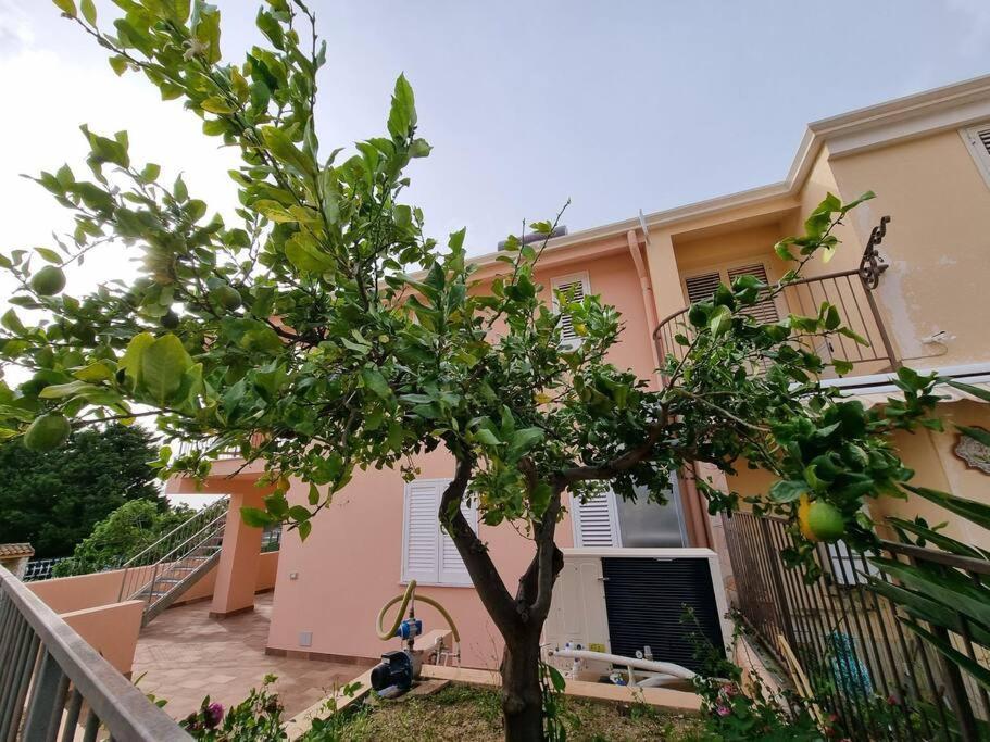 Casa Cinque Grani Ferienhaus Cefalù